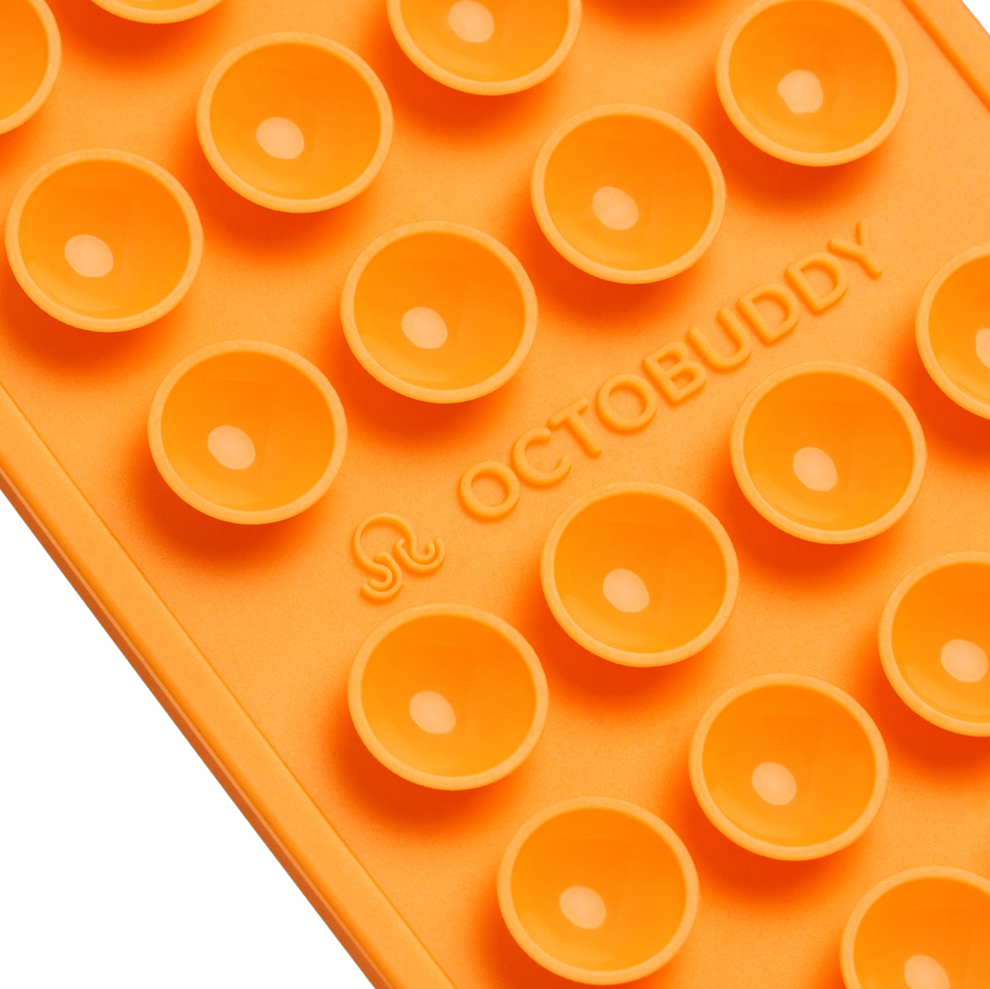 OCTOBUDDY Classic